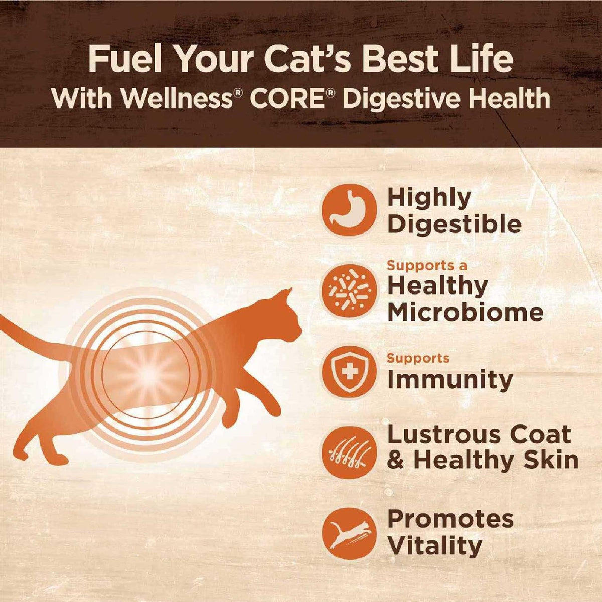 Digestive Health Pate Recipe Wet Cat Food B5760