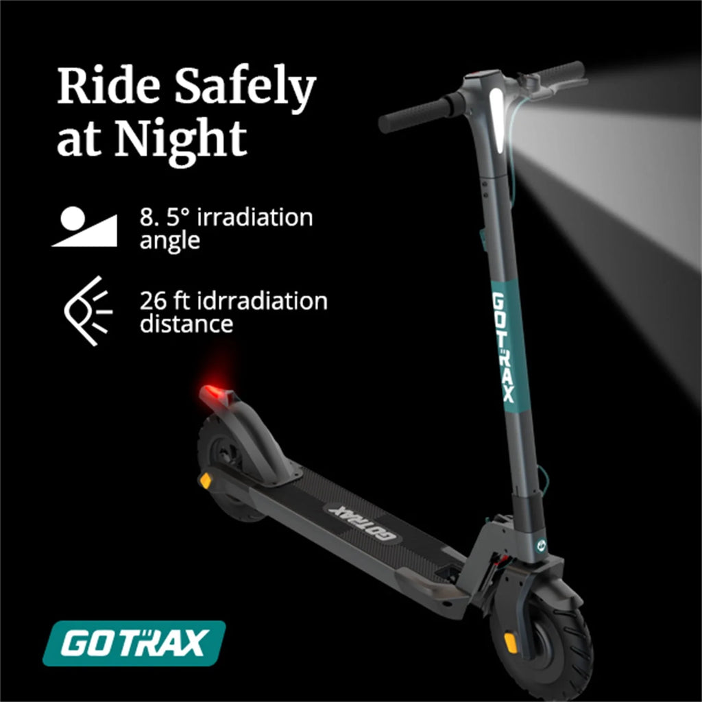 300W 10 Tires Foldable Electric Scooter Q9373