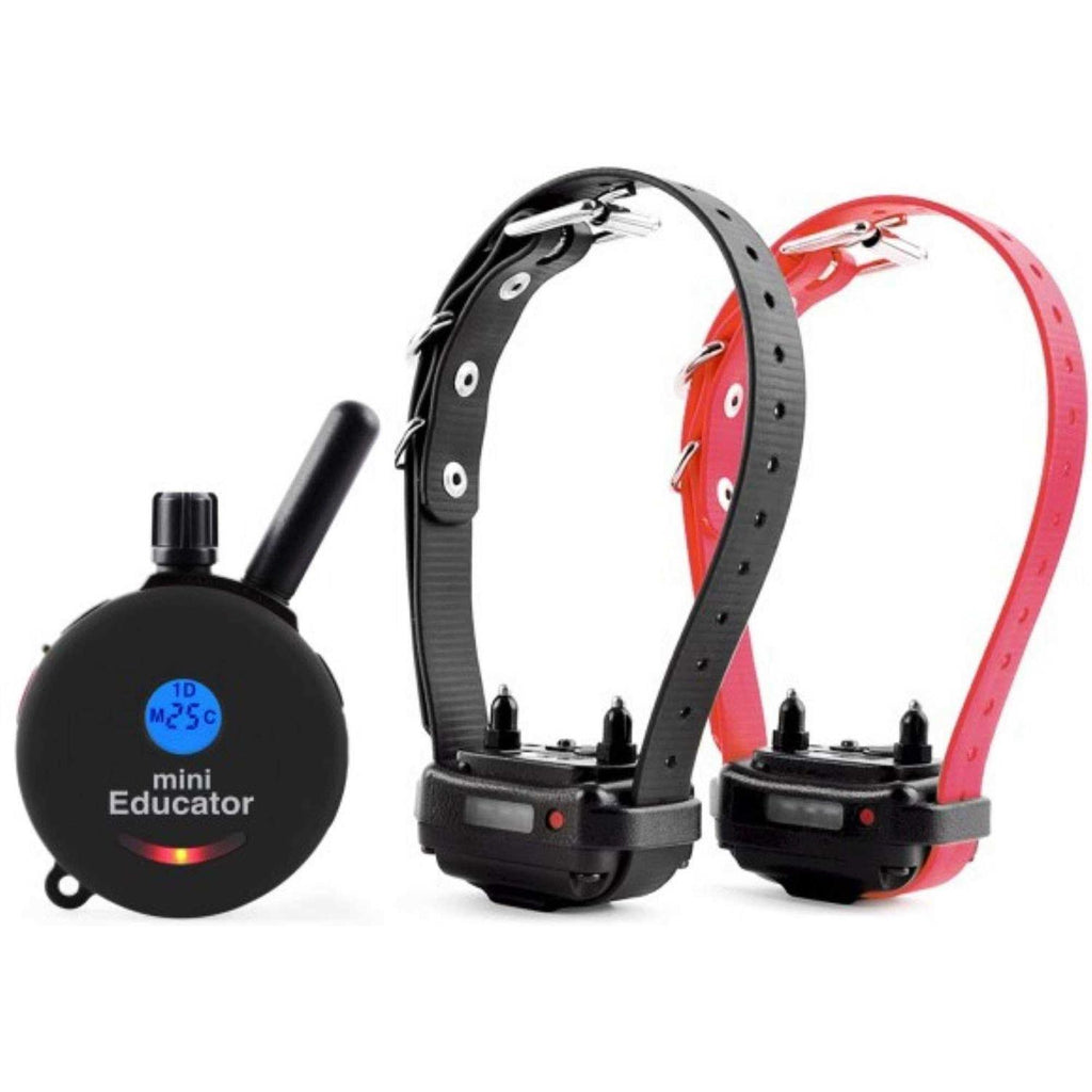 Dog Training Collar System with Remote K772