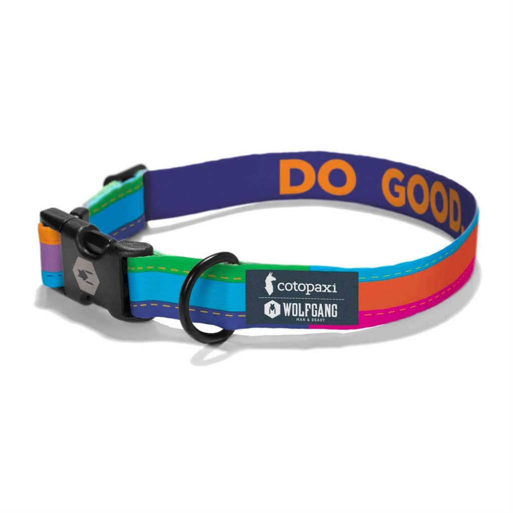 GoodDog Collar I277