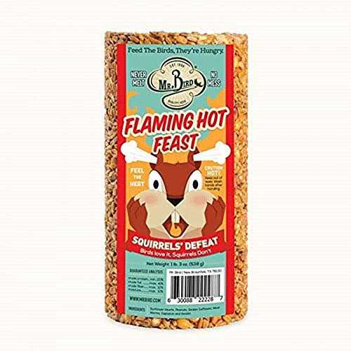 Flaming Hot Feast Small Cylinder Pet Supplies H837643