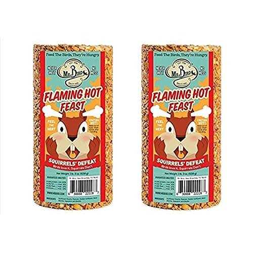 Flaming Hot Feast Small Cylinder Pet Supplies H837643