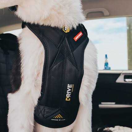 Dog Car Harness Y1105