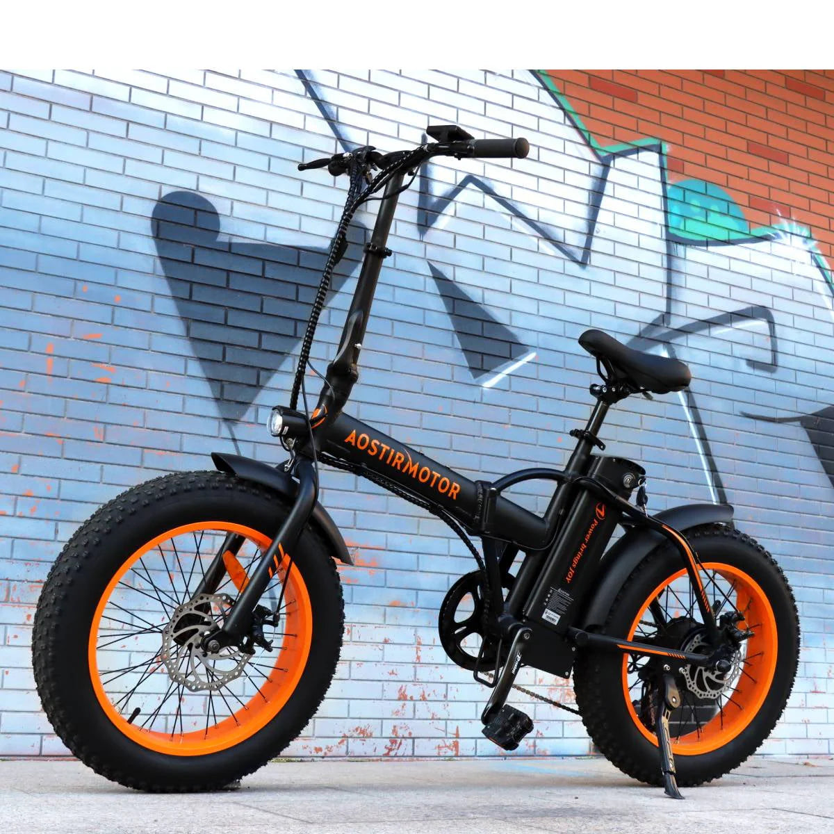 Folding Electric Bike 20 inch Fat Tire 500W 36V 13AH C173
