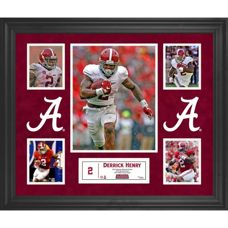 Framed 20 x 24 5-Photo Collage S7092