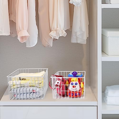 Set of 6 Wire Freezer Organizer Baskets T5129
