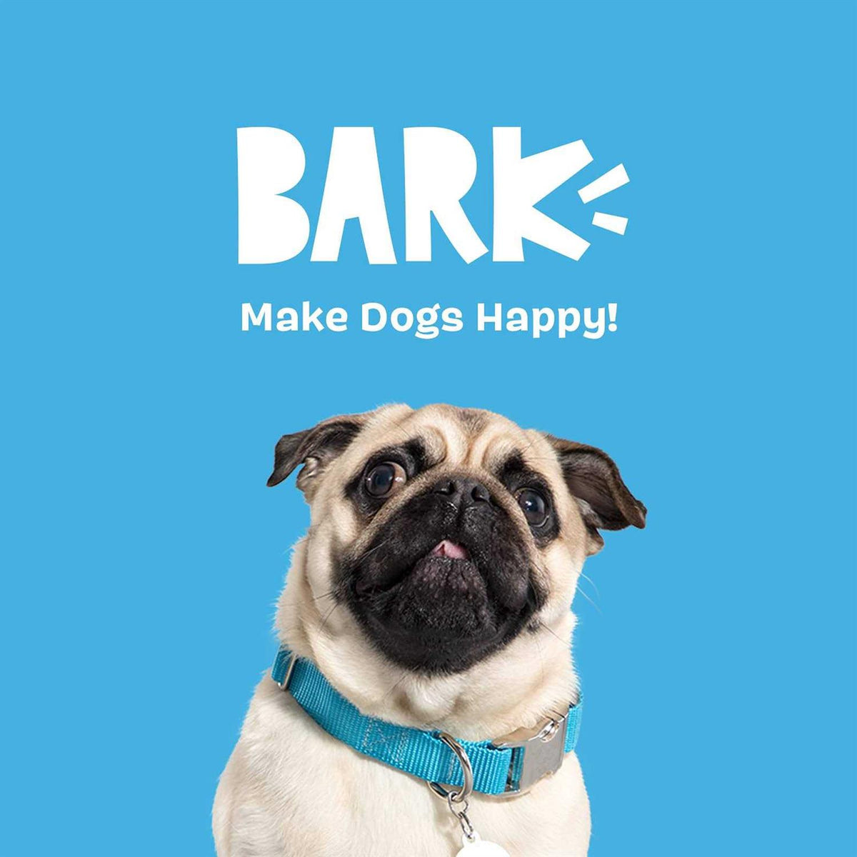 Dragon Plush Dog Toy T1944