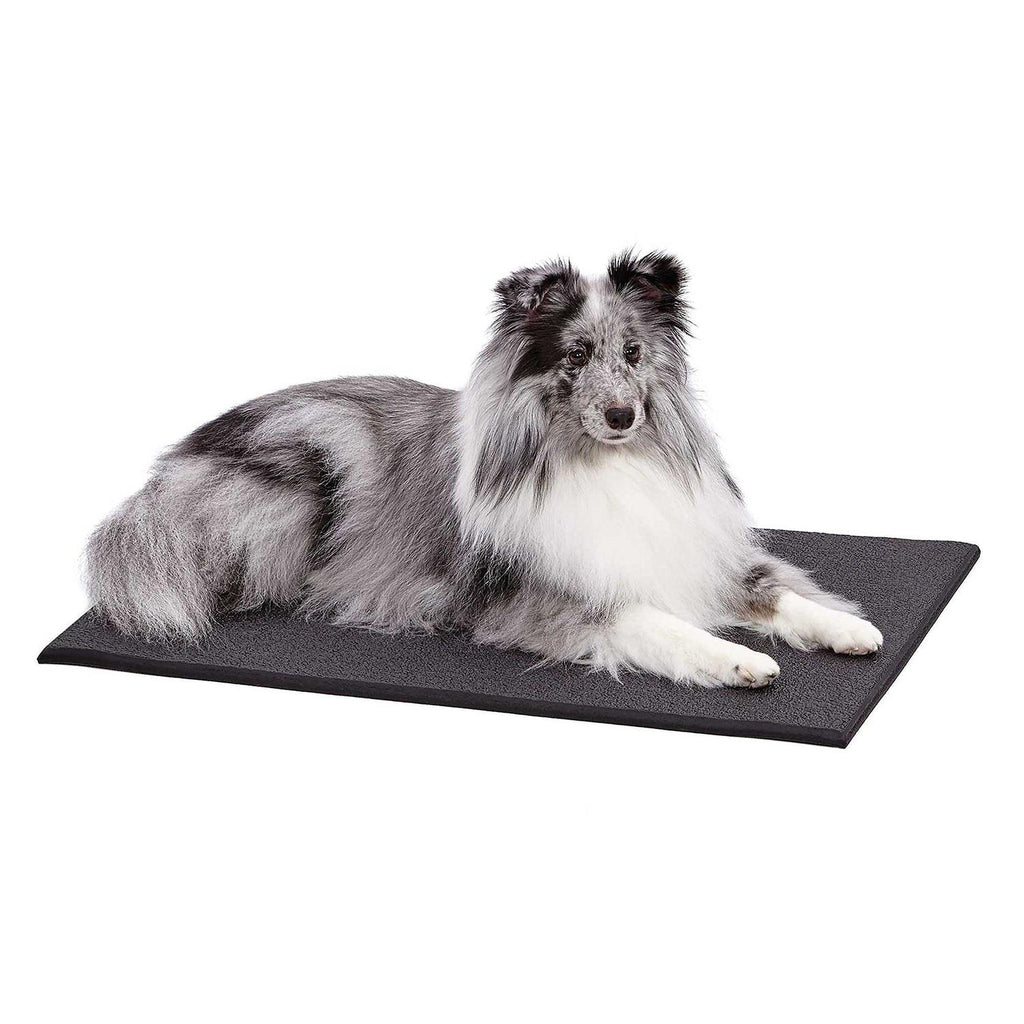 Cushioned Dog Crate Mat L749513
