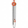 1 Ton Capacity Hand Chain Hoist, 10ft. Lift E89884
