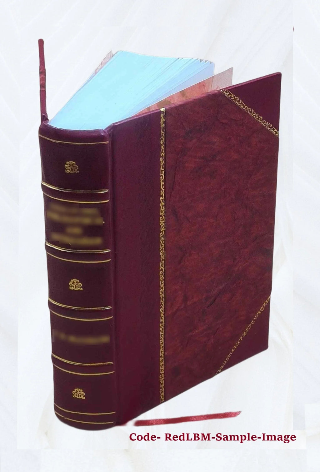 Whaling Cruise History Book W72370