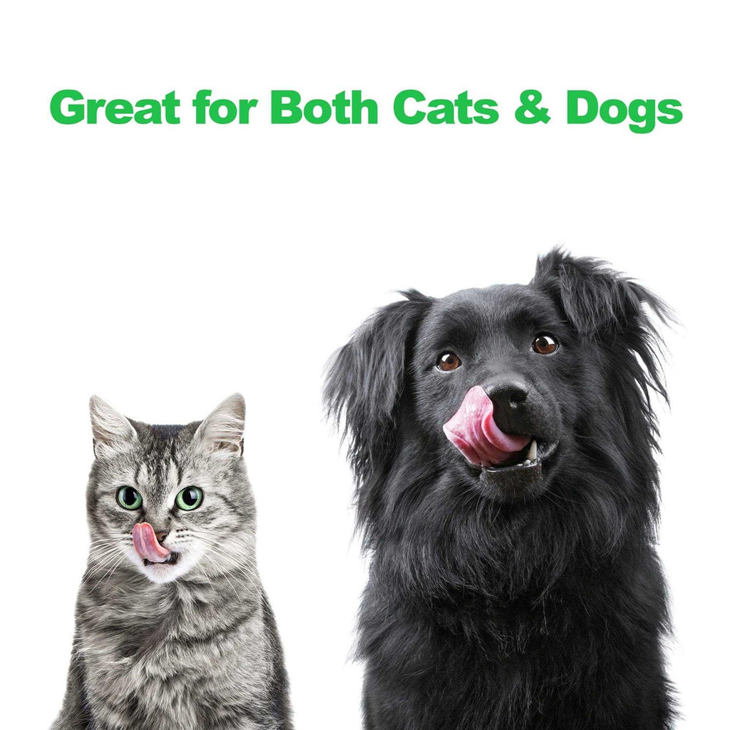 Modern Double Elevated Dog Bowls D50811