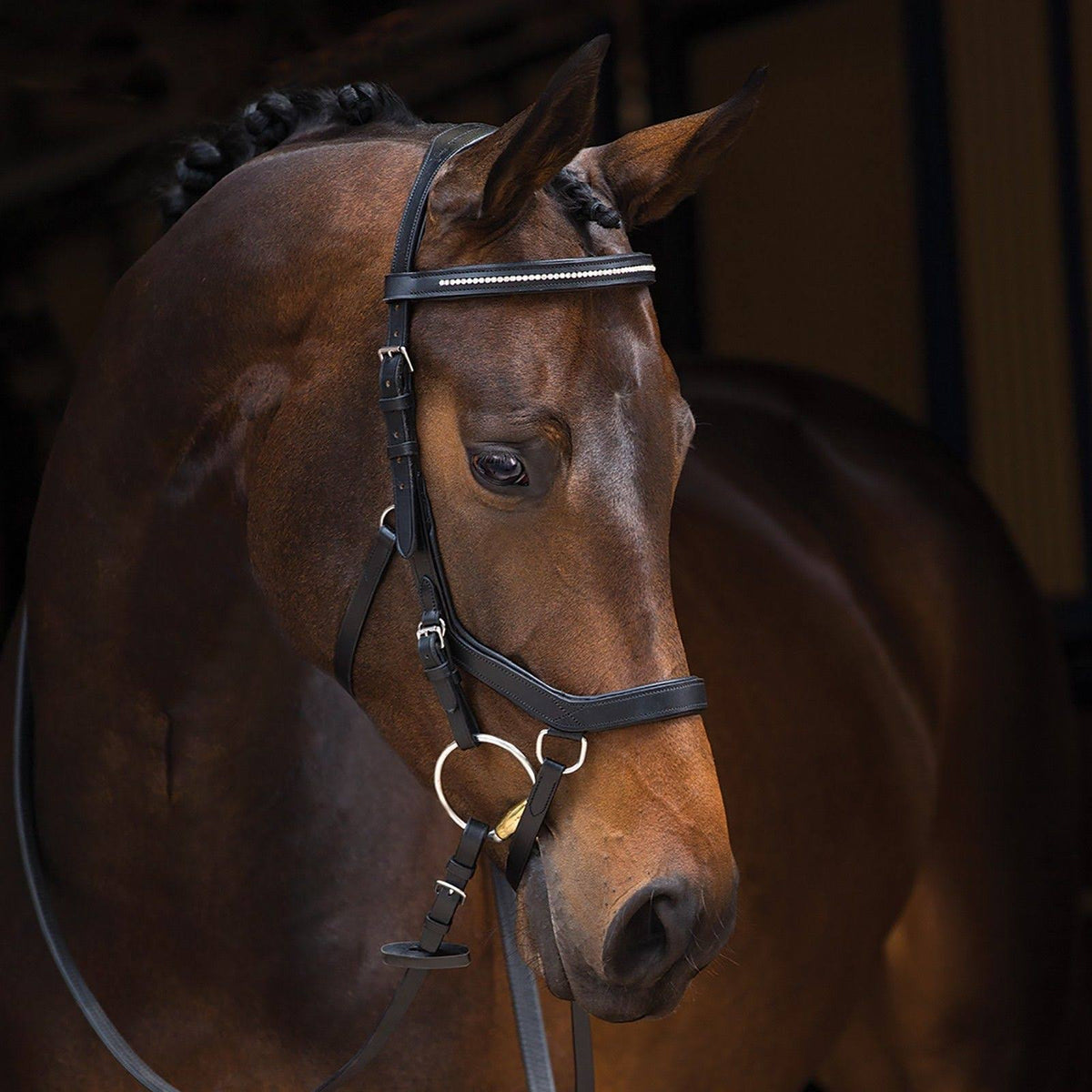 Black Competition Bridle C2325