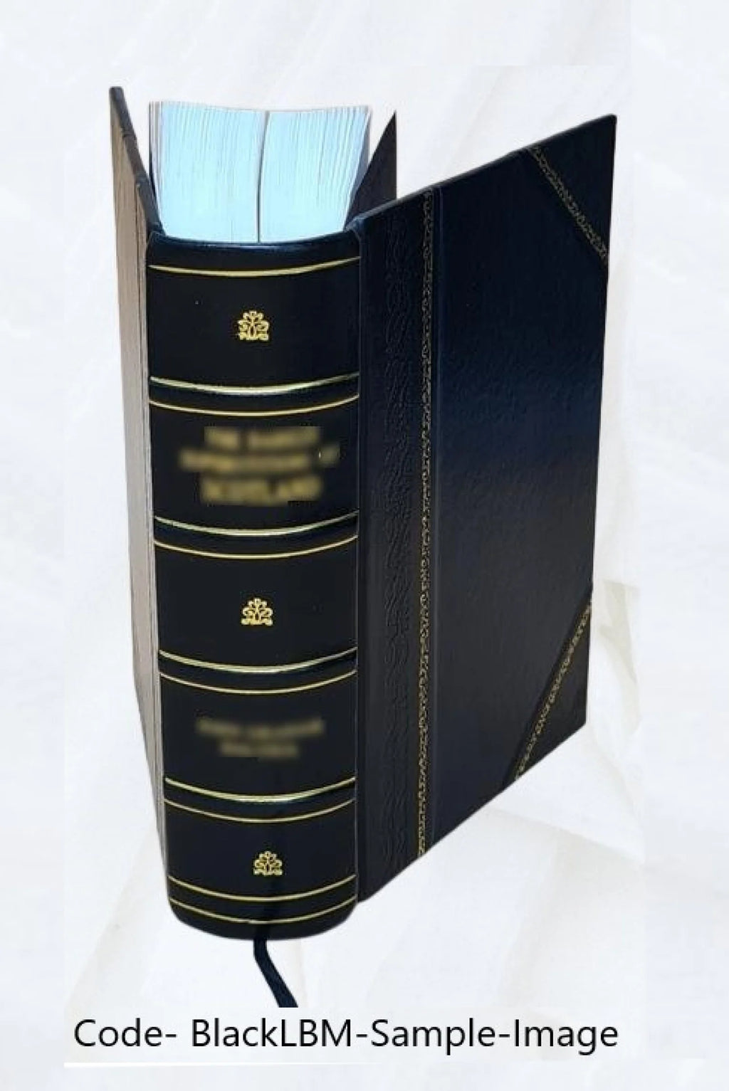 Whaling Cruise History Book W72370