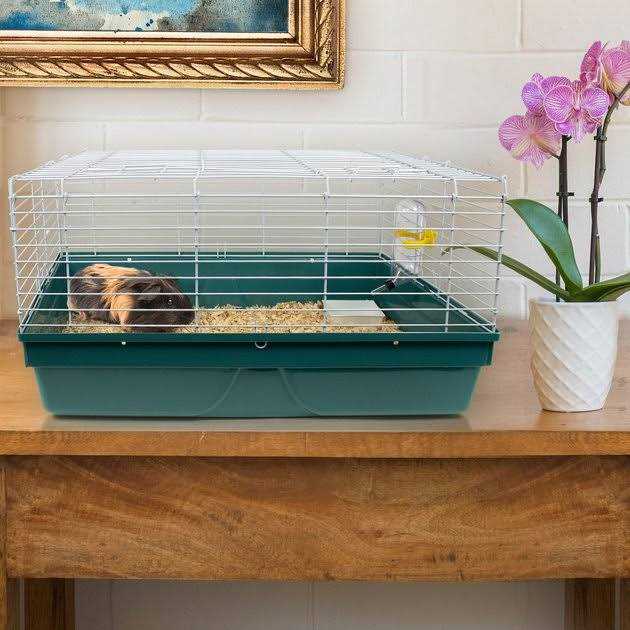 Small Animal Starter Kit H722275