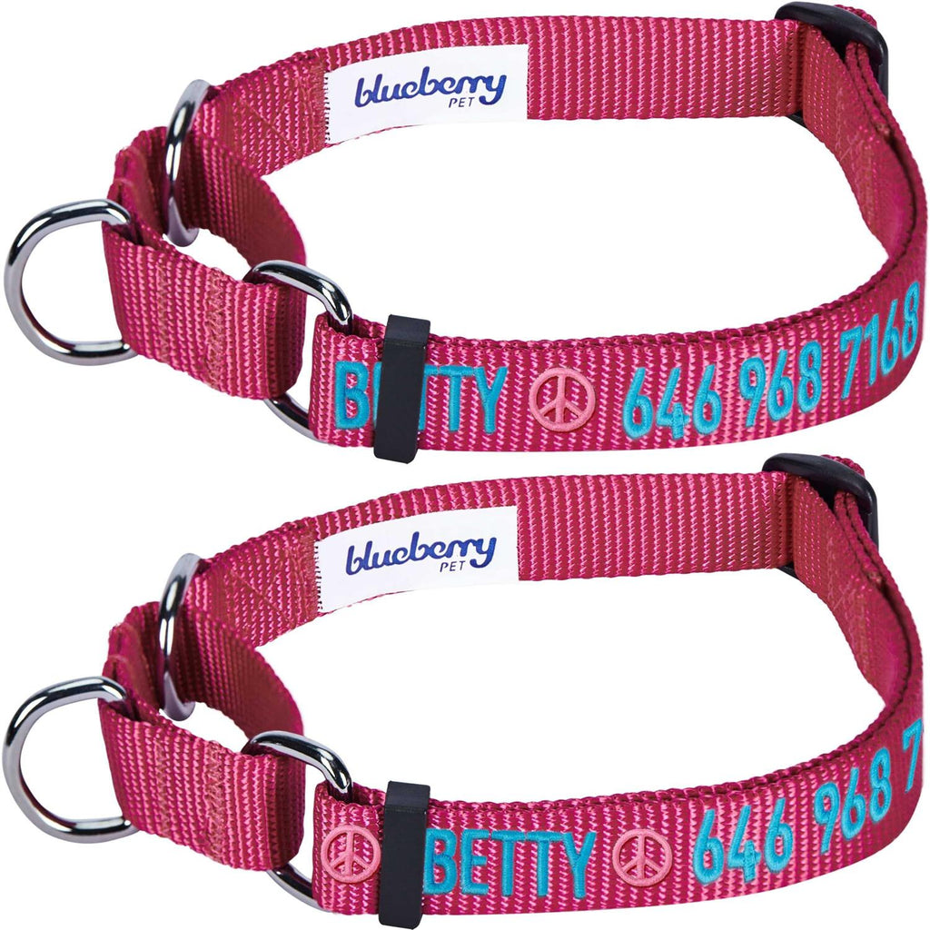Martingale Safety Training Dog Collar O89890
