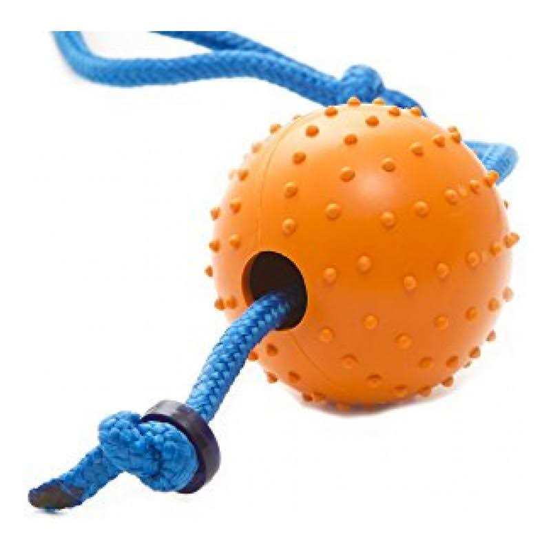 Pet Squeaker Toy W321364