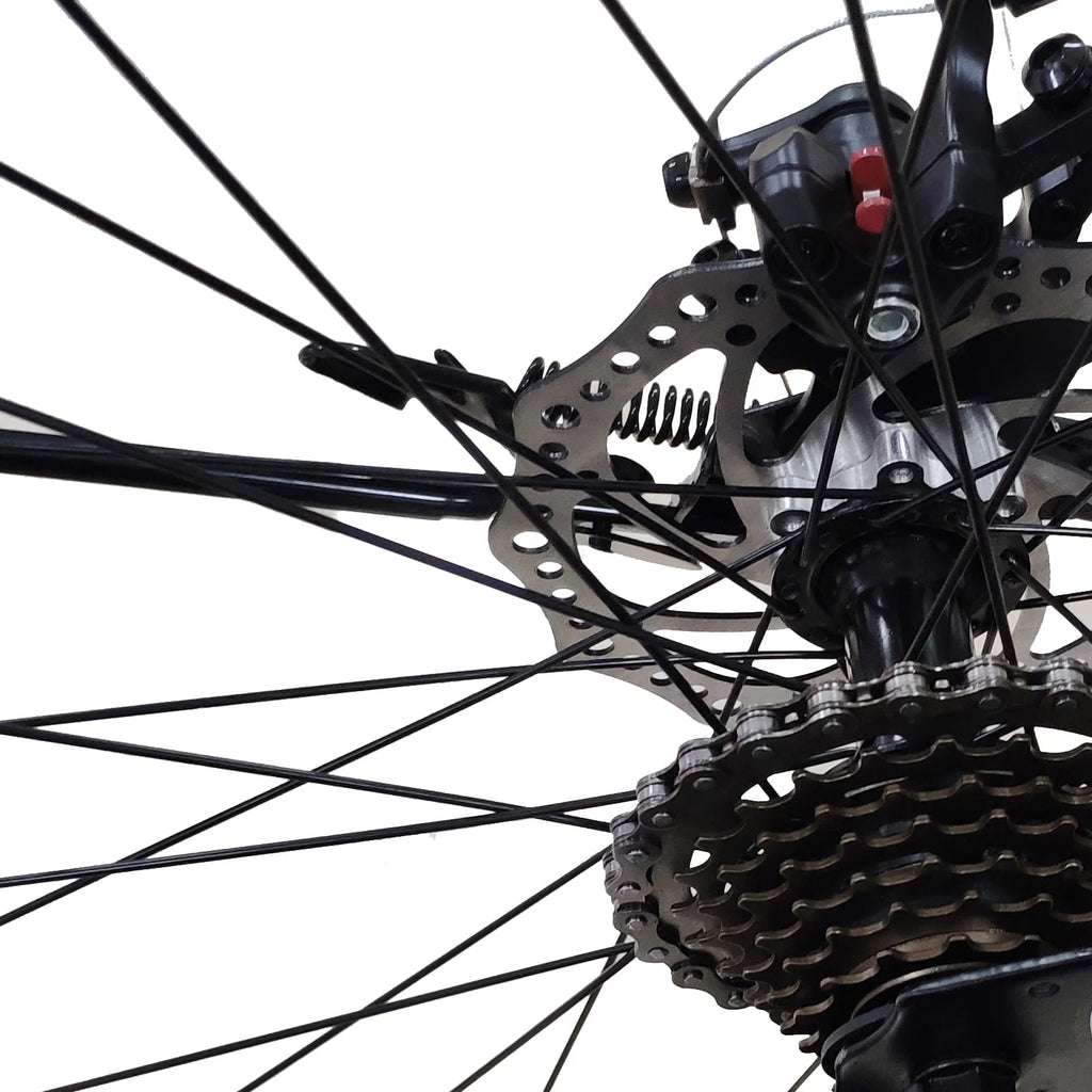 26-Inch Wheels 21 Speed Dual Disc Brake Mountain Bike H954009