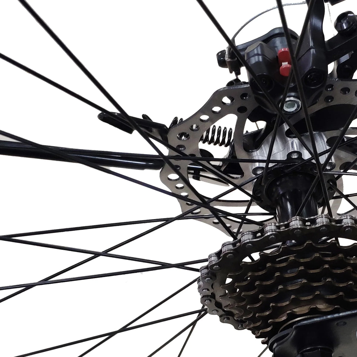 26-Inch Wheels 21 Speed Dual Disc Brake Mountain Bike H954009