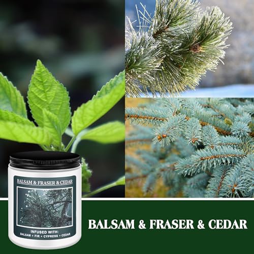 Christmas Tree Fir Pine Candles O545710