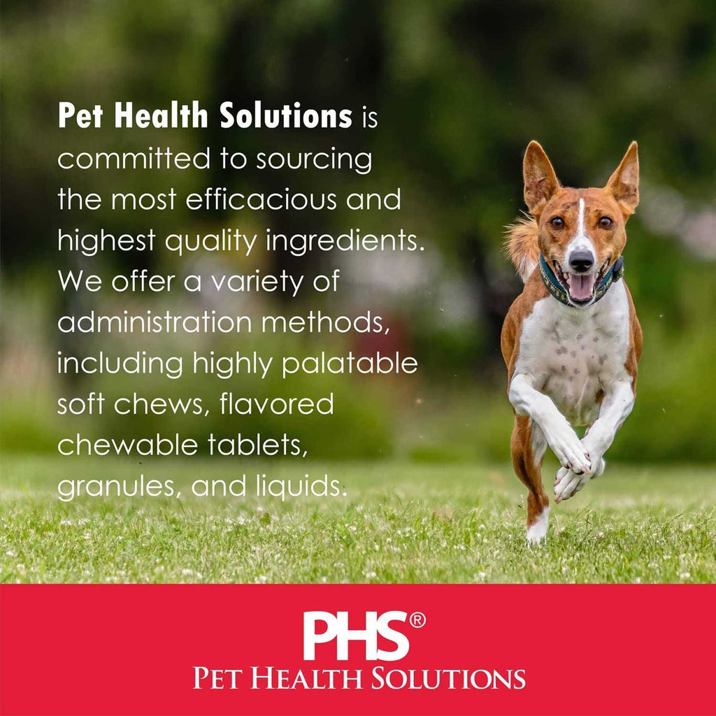 Vitamin B Supplement for Dogs V825188