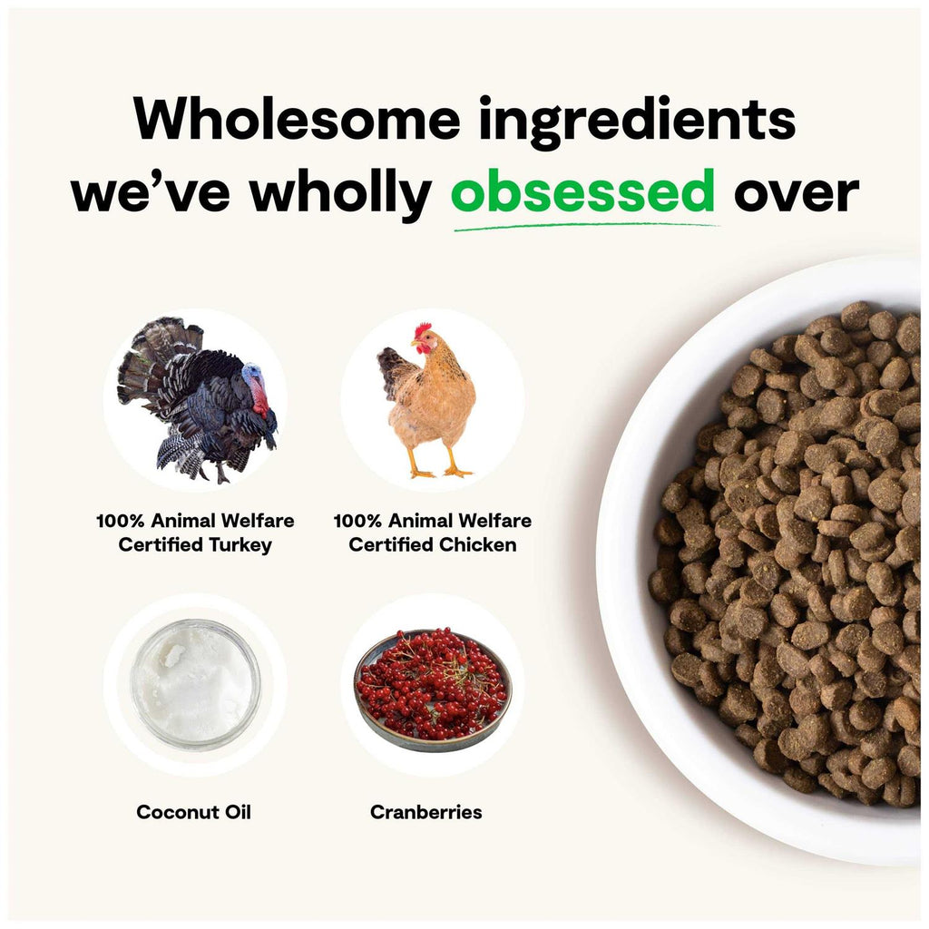 Grain Free Kitten Recipe I552