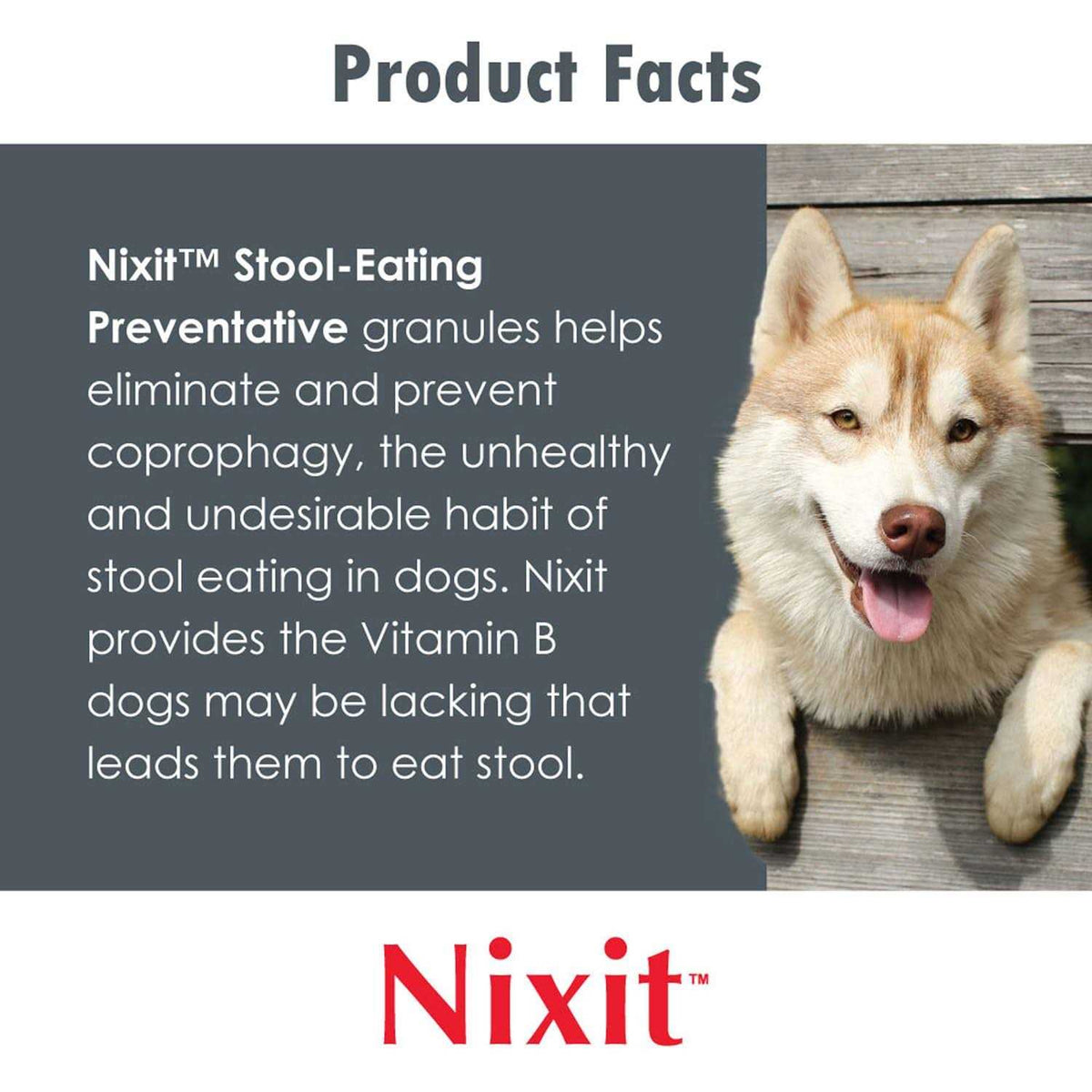 Vitamin B Supplement for Dogs V825188