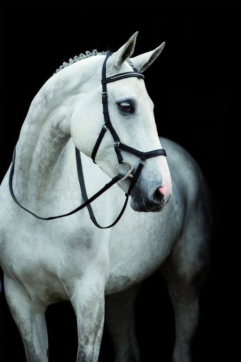 Black Competition Bridle C2325