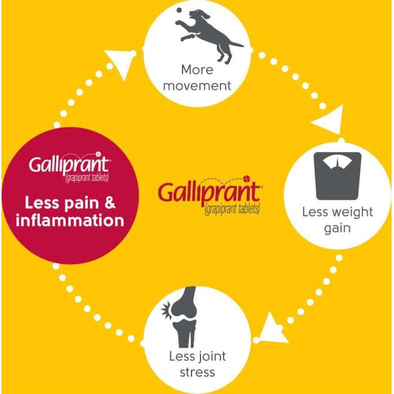 Galliprant mg for Dogs S8751