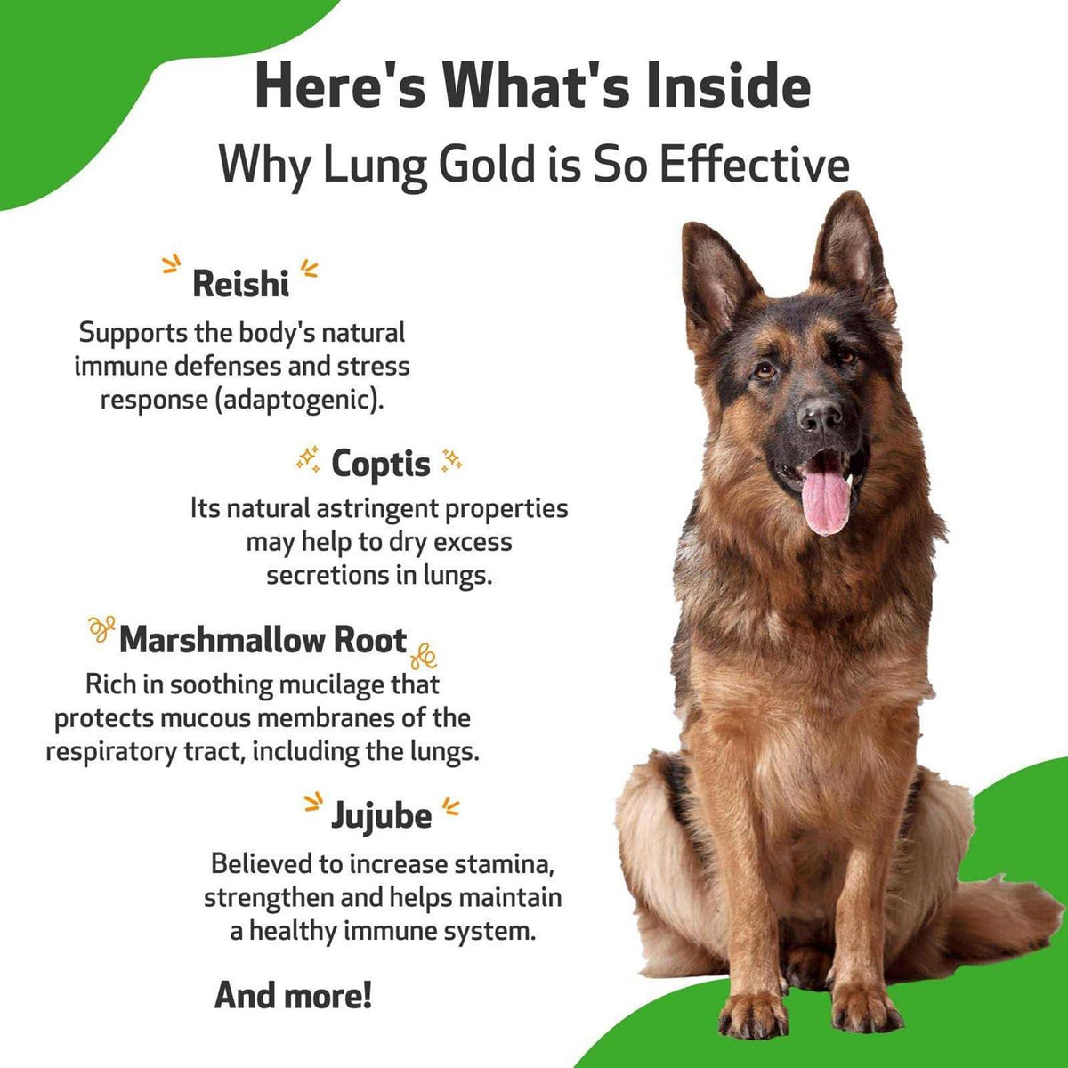 Lung Gold for Dogs D804