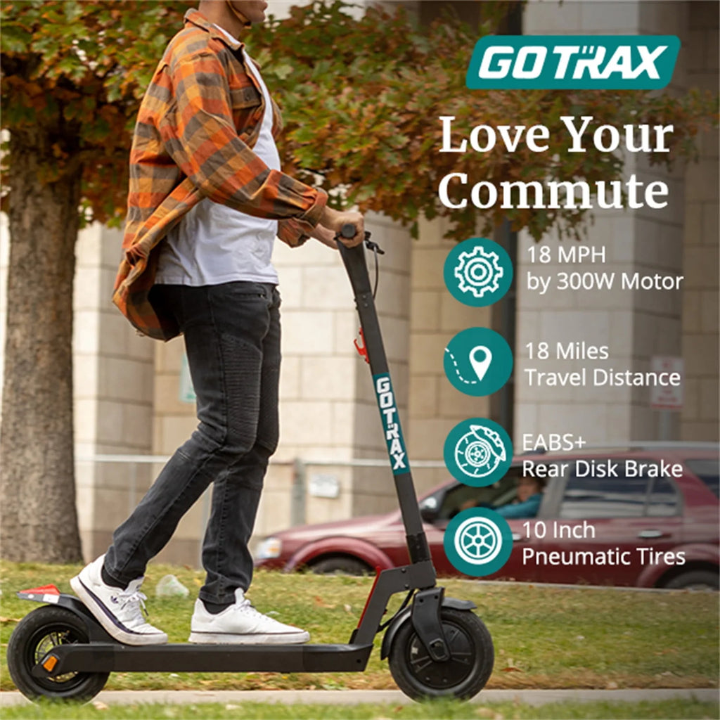 300W 10 Tires Foldable Electric Scooter Q9373