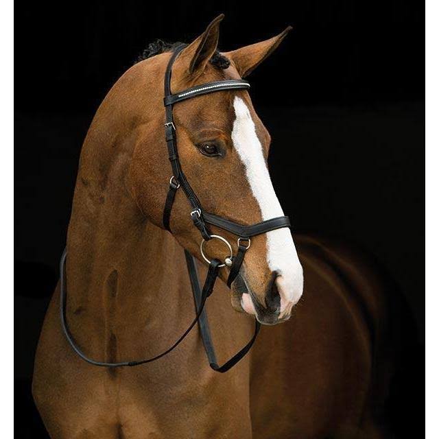 Black Competition Bridle C2325