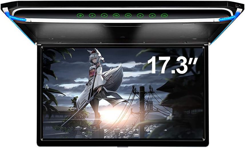 17.3 Car Overhead Flip Down Monitor with HDMI IR FM USB SD G841755