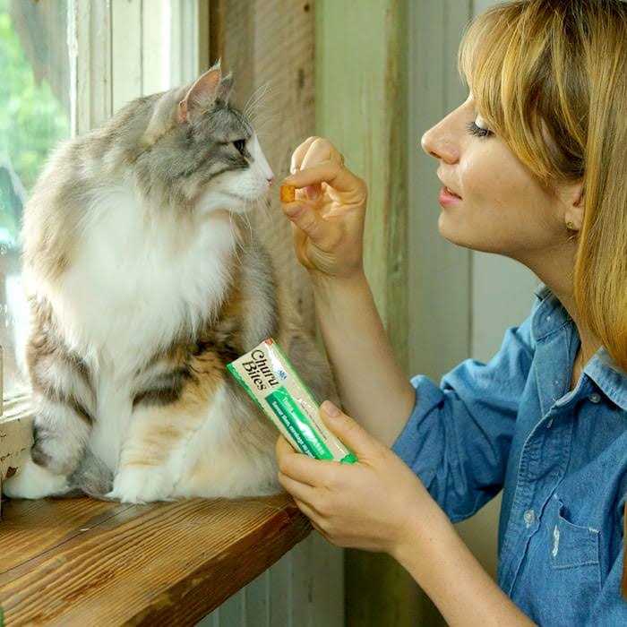 Chicken Recipe Cat Treat C418717