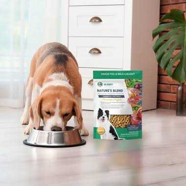 Freeze-Dried Dog Food I85574