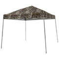 10' x 10' Slant Leg Canopy L1500