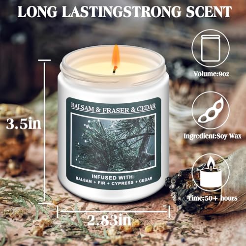 Christmas Tree Fir Pine Candles O545710