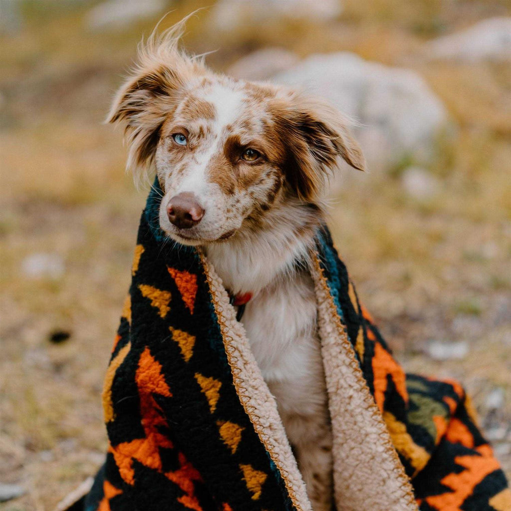 Sherpa Fleece Waterproof Blanket Z67469