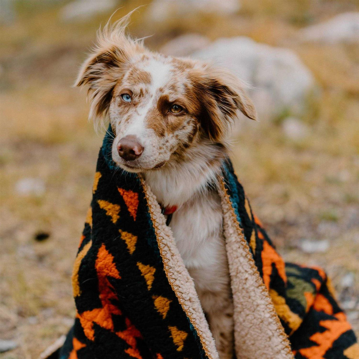Sherpa Fleece Waterproof Blanket Z67469