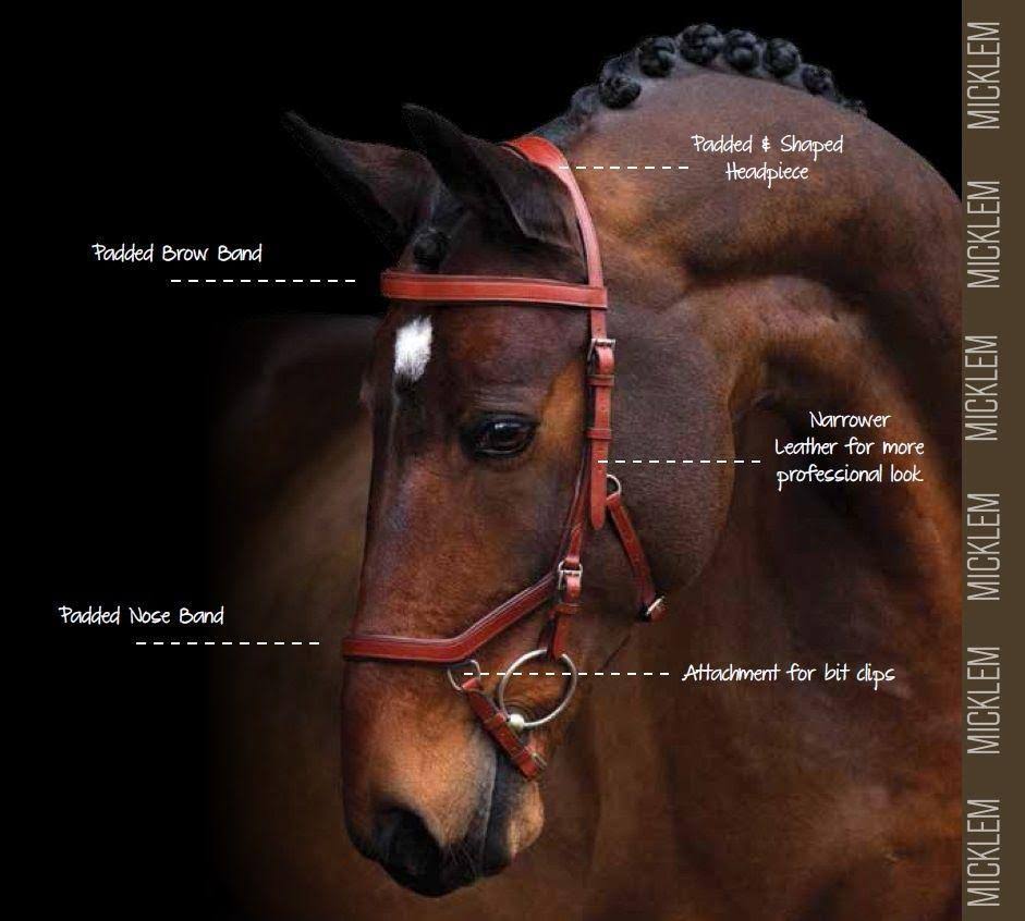 Black Competition Bridle C2325