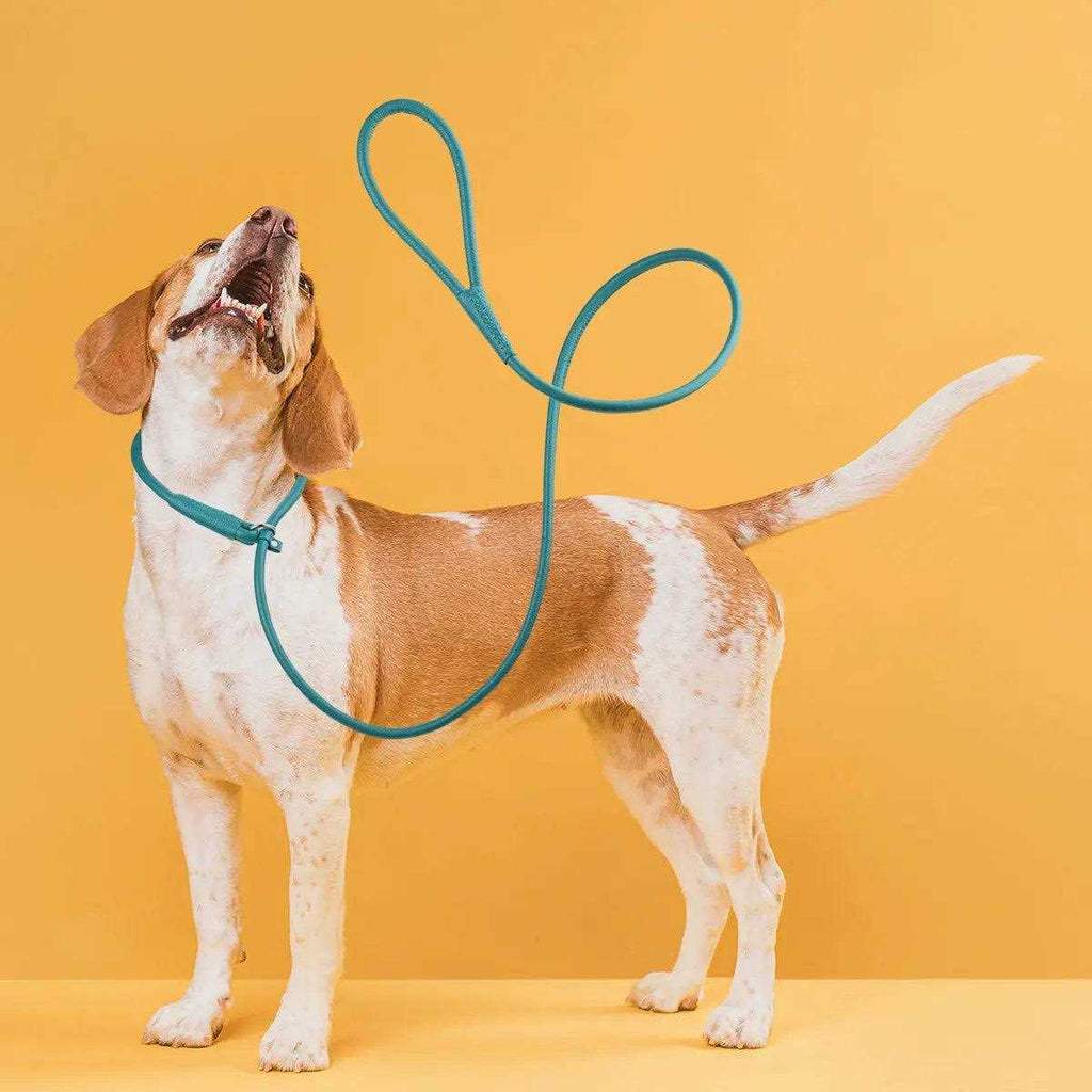 Leather Round Slip Lead A788111