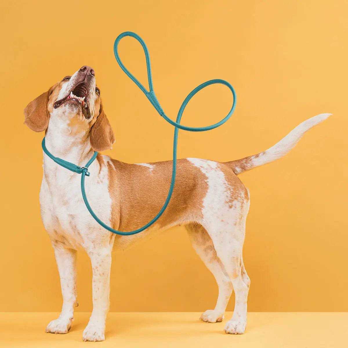 Leather Round Slip Lead A788111