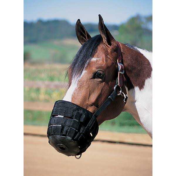 Leather Grazing Muzzle W5849