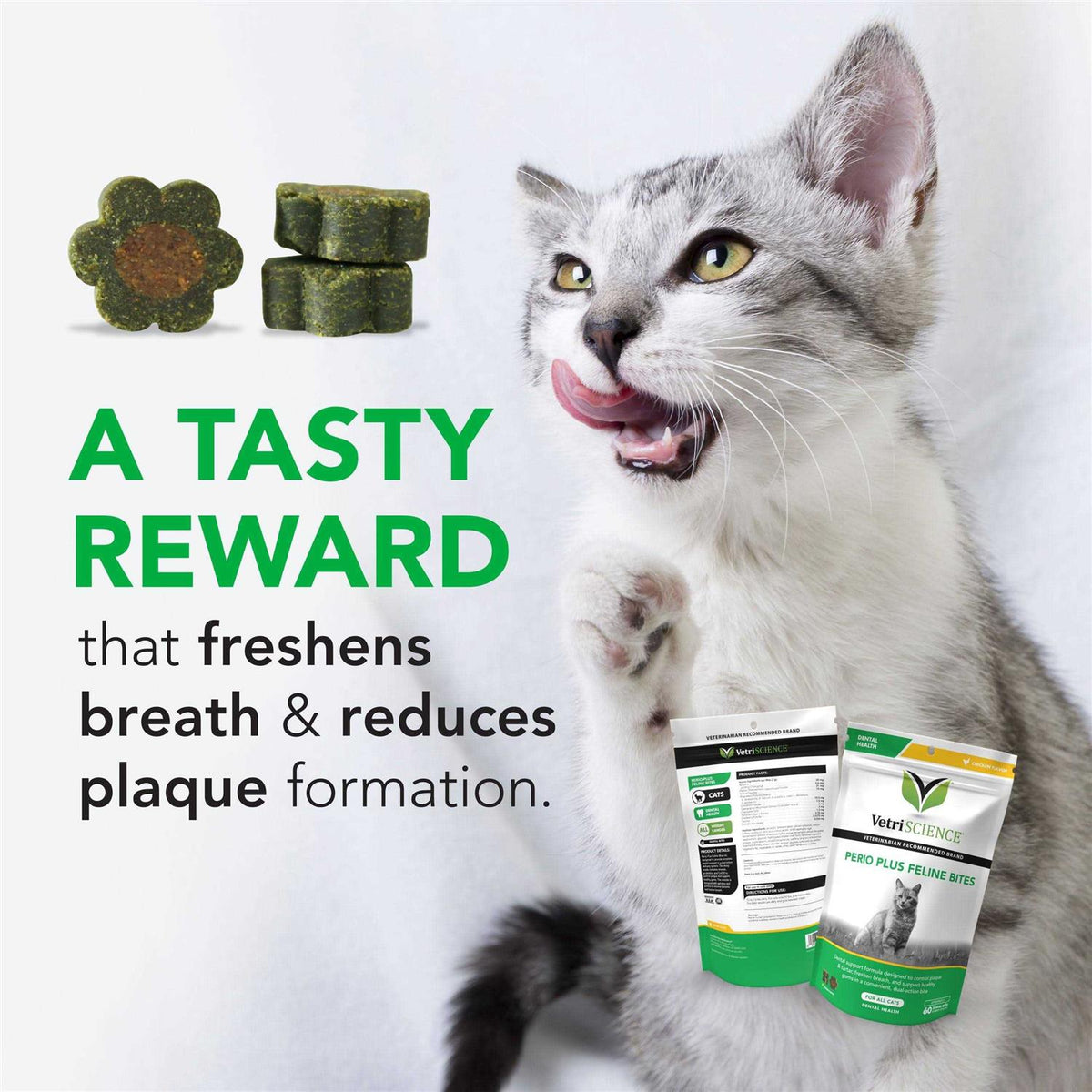 Perio Plus Feline Bites Q51739