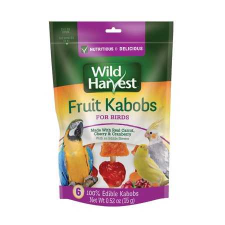 Fruit Kabobs Bird Treats, 6 count D2284
